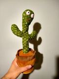 Cactus Bailarín Parlanchín