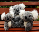 Peluche Koala Kawaii